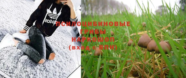 не бодяженный Балахна